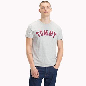Tommy Hilfiger pánské šedé tričko Essential - XL (38)